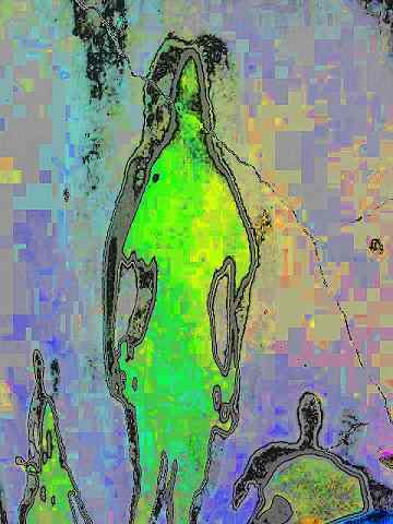 3grpshadow3_012.jpg