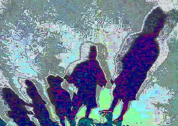 3grpshadow3_017.jpg