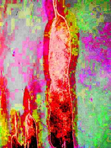 3grpshadow3_019.jpg