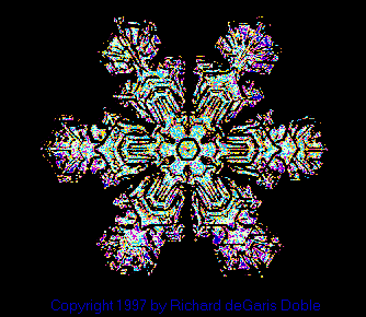 sflake03.gif (14299 bytes)