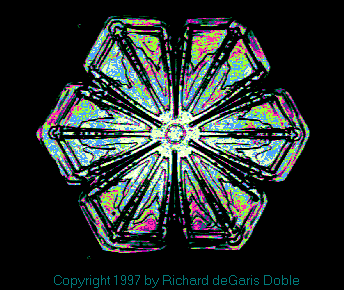 sflake04.gif (17692 bytes)