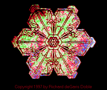 sflake05.gif (16001 bytes)