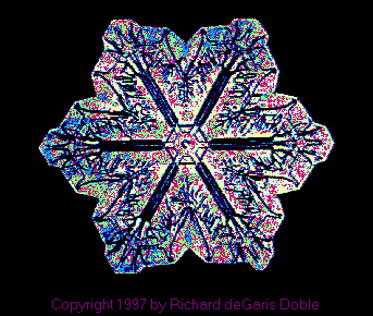 sflake06.gif (20674 bytes)