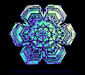 sflake09.gif (22415 bytes)