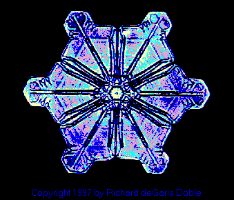 sflake10.gif (21469 bytes)