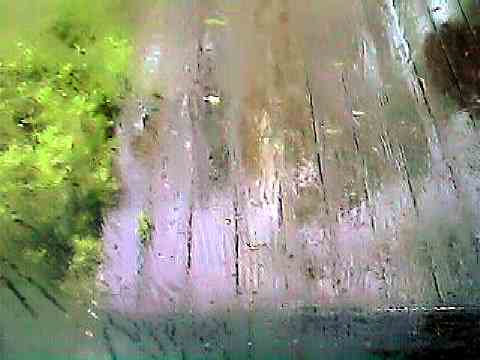 rainy01.jpg
