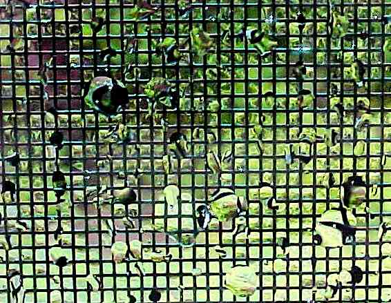 Close up - rain on screen #1