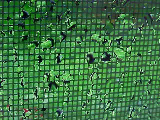Close up - rain on screen #2