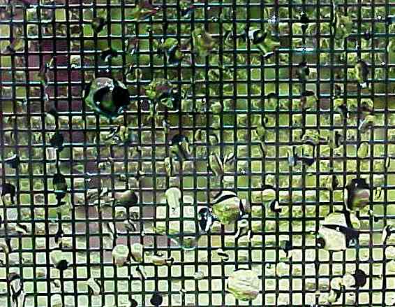 Close up - rain on screen #3