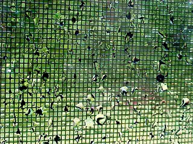 Close up - rain on screen #4