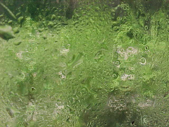 rainwindow04.jpg