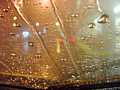 rain03_40.jpg